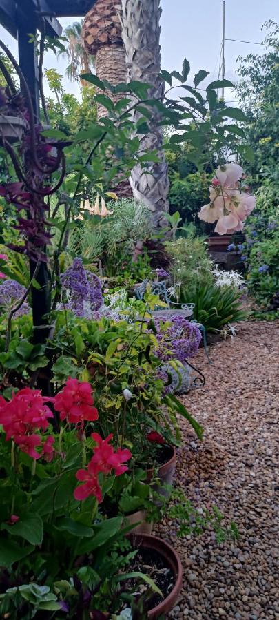 Casa Flora Garden Studio Sauzal Eksteriør billede